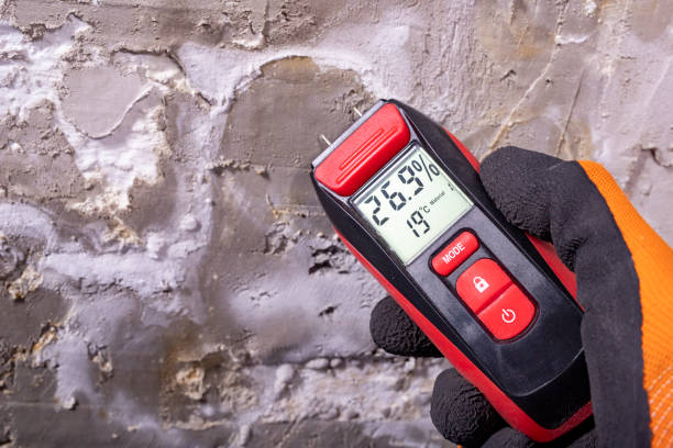 Best Home Mold Removal  in Golf Manor, OH