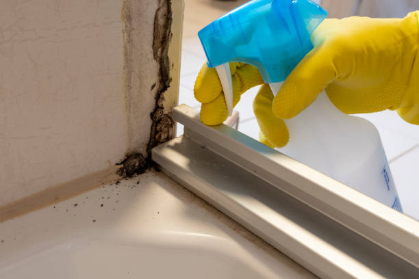 Best Residential Mold Removal  in Golf Manor, OH