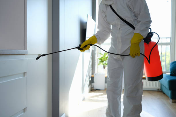 Best Certified Mold Removal  in Golf Manor, OH