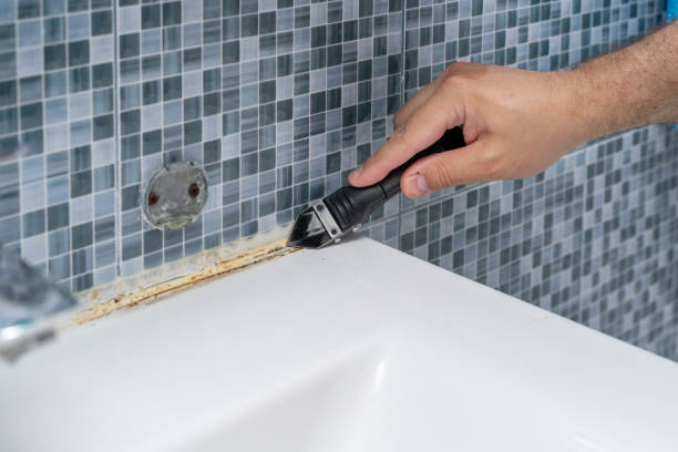 Best Black Mold Removal  in Golf Manor, OH