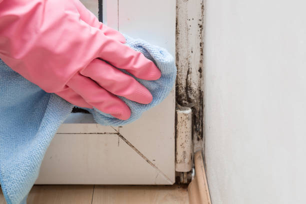 Best Crawl Space Mold Removal  in Golf Manor, OH